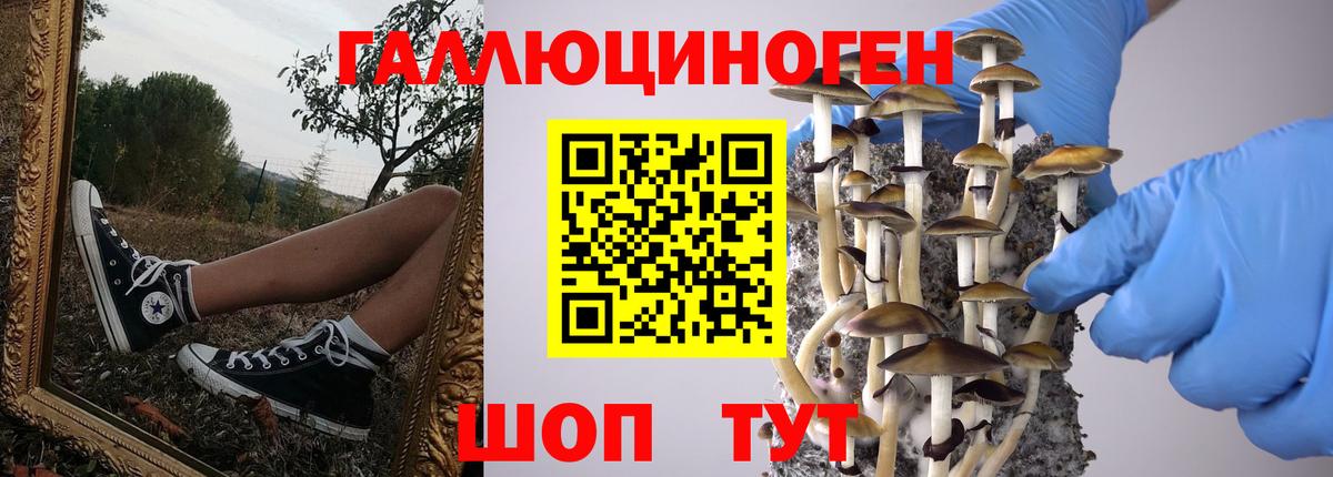 Галлюциногенные грибы MAGIC MUSHROOMS  Псилоцибиновые грибы Psilocybe  Вход с VPN  Усинск 